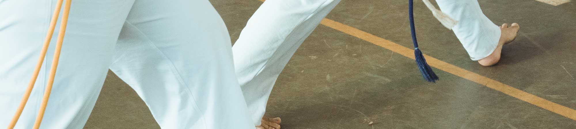 Legs